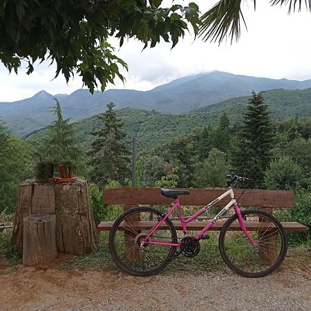 Apartamento En Pleno Montseny Mas Romeu Turisme Rural Arbúcies Eksteriør bilde