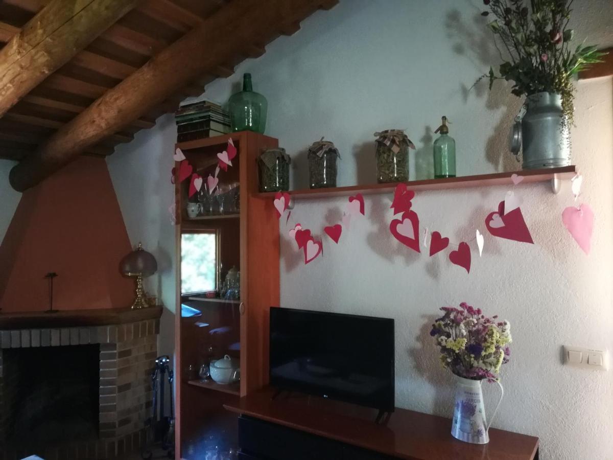 Apartamento En Pleno Montseny Mas Romeu Turisme Rural Arbúcies Eksteriør bilde
