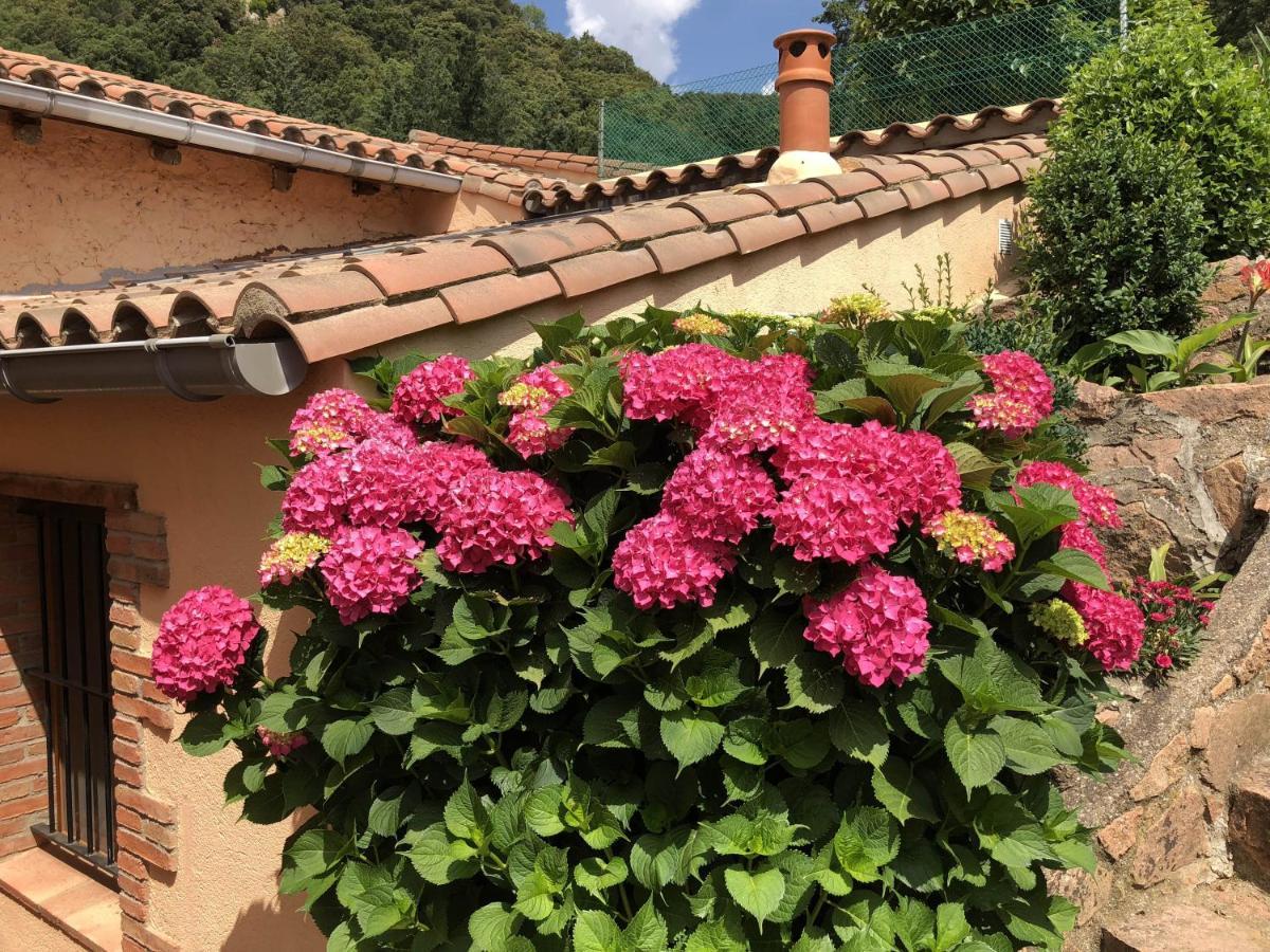 Apartamento En Pleno Montseny Mas Romeu Turisme Rural Arbúcies Eksteriør bilde