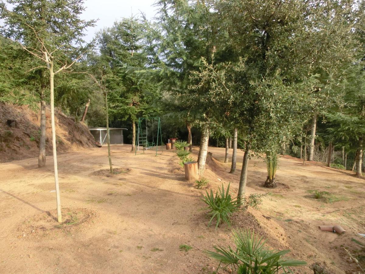 Apartamento En Pleno Montseny Mas Romeu Turisme Rural Arbúcies Eksteriør bilde