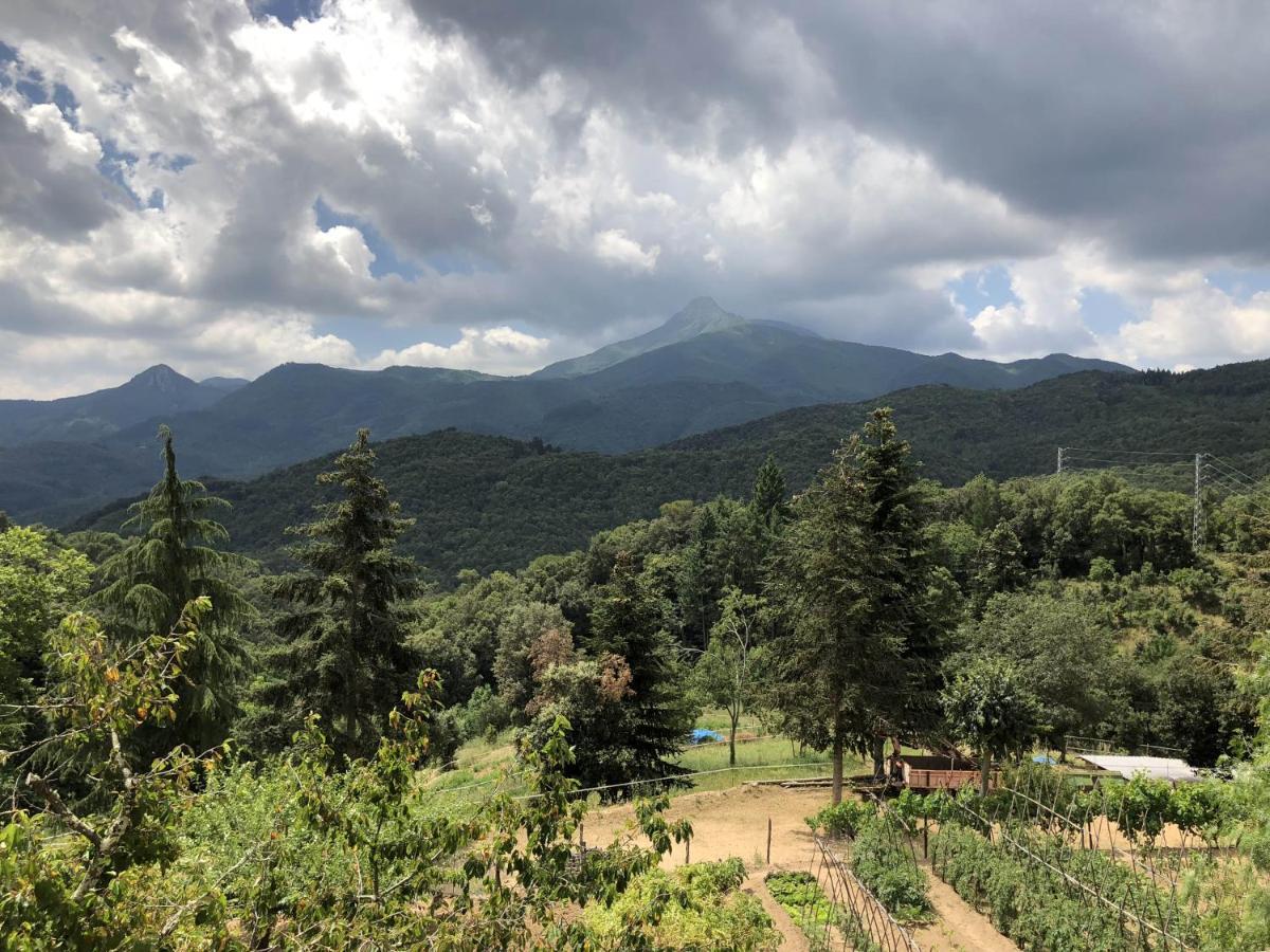 Apartamento En Pleno Montseny Mas Romeu Turisme Rural Arbúcies Eksteriør bilde