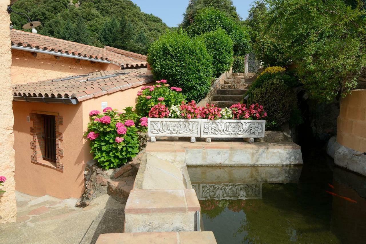 Apartamento En Pleno Montseny Mas Romeu Turisme Rural Arbúcies Eksteriør bilde