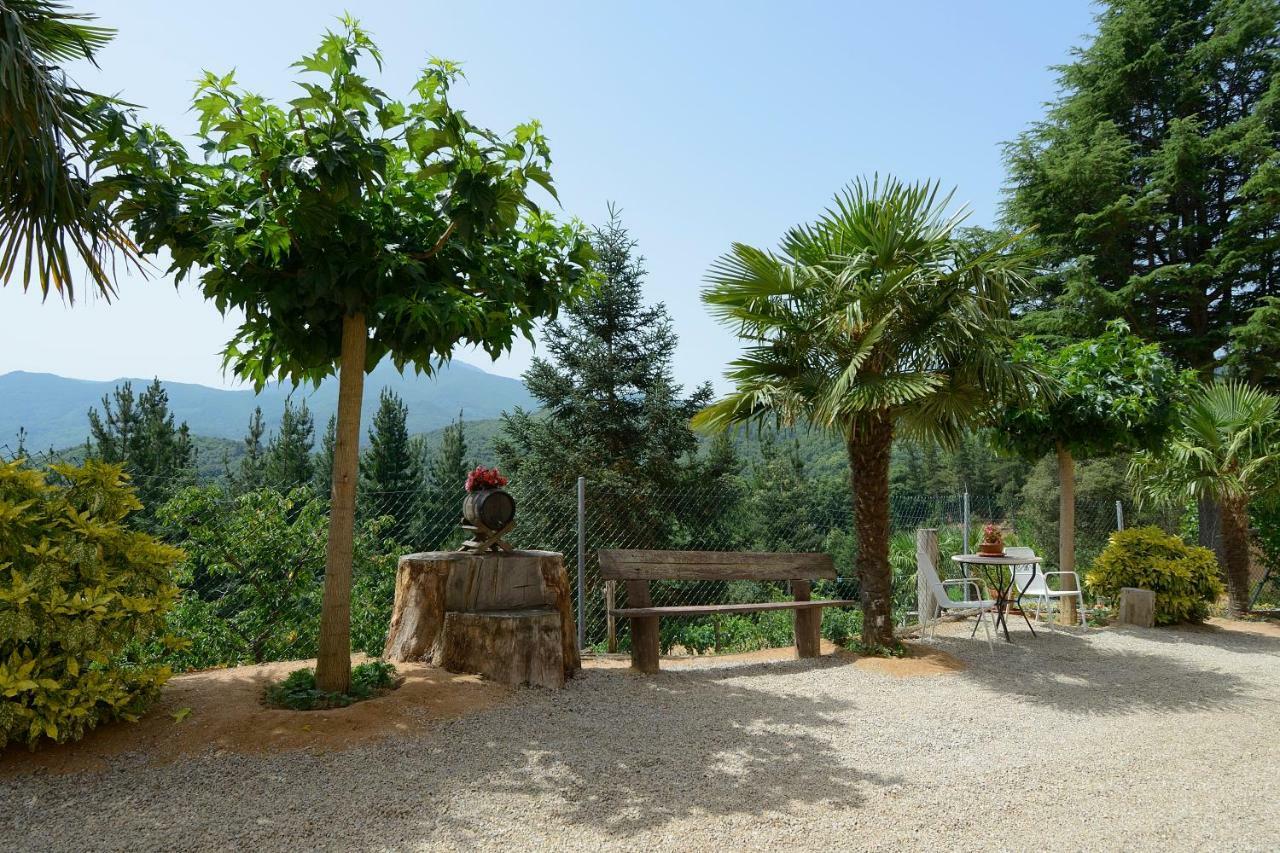 Apartamento En Pleno Montseny Mas Romeu Turisme Rural Arbúcies Eksteriør bilde