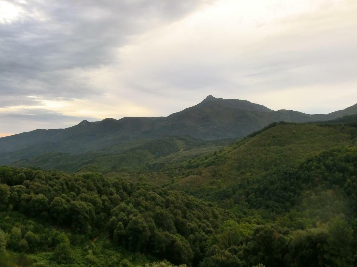 Apartamento En Pleno Montseny Mas Romeu Turisme Rural Arbúcies Eksteriør bilde